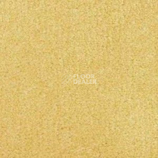 Ковролин Radici Admiral Primrose 2221 фото 1 | FLOORDEALER